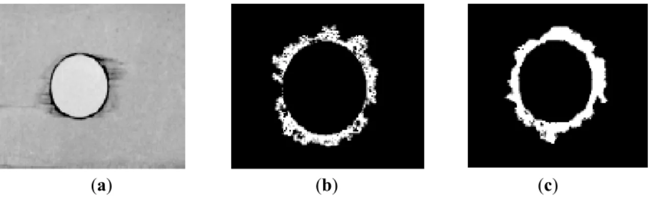 Figure  5.  Damage evaluation: (a)  radiography  [26];  (b) ultrasonic C-Scan  [28];  