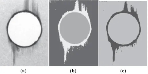Figure  7. Pipeline of the computational processing of a radiographic image: (a) original  image;  (b)  image  segmented by using a neuronal network;  (c)  identification  of the  delamination region