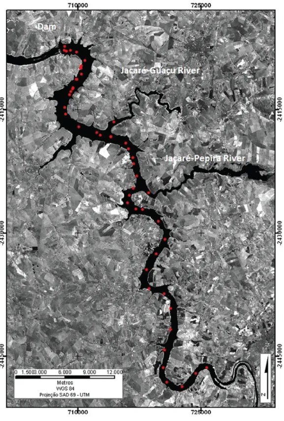Figure 1. Study site, showing sampling sites in red points.