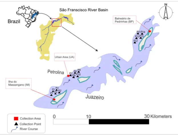 Figure 1. Illustrative map of sampling sites and course of the lower São Francisco River basin.
