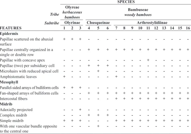 Table 2. Summary of leaf blade features useful for delimiting the tribes and subtribes, and also for recognizing the species