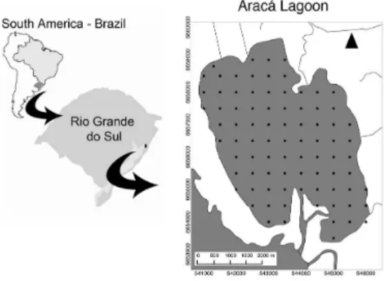 Figure 1.  Araçá Lagoon, southern Brazil. The black dots  indicate the sampling sites.