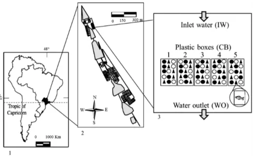 Figure 1. Geographic location (1), layout of Aquaculture Center (2) and outline of the flow-through open pond (3) used with  the five plastic boxes and 15 plastic bottles (2 L) in each box, where: ο= FD+P feed treatment (mixed diet); ▲= FD feed  treatment 