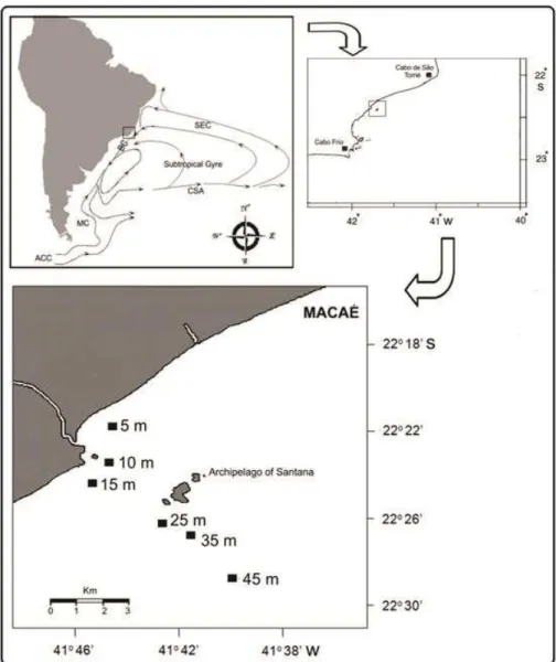 Figura  1: Área de estudo evidenciando a região de ressurgência e região de  amostragem