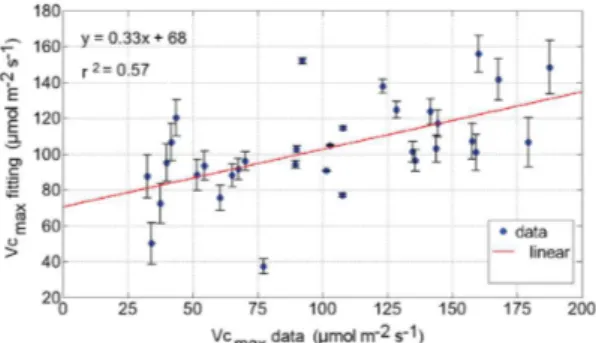 Figure 2. Dispersion of MLR for Vc max  and bar of standard  error of mean – (n=33).