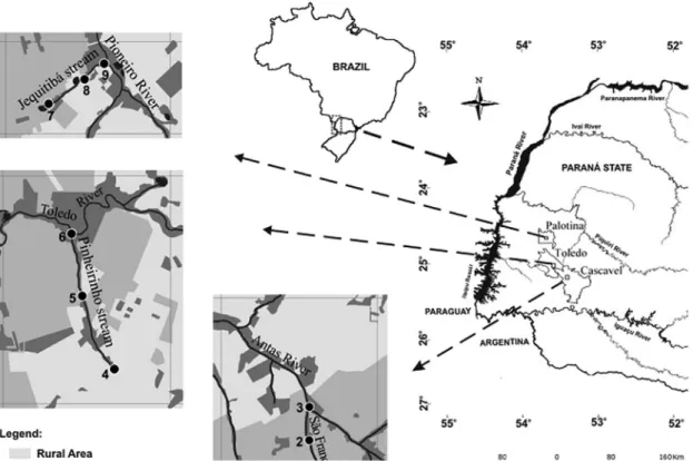 Figure 1. Sampling sites in three streams located in the cities of Palotina, Toledo, and Cascavel, state of Paraná, southern  Brazil.