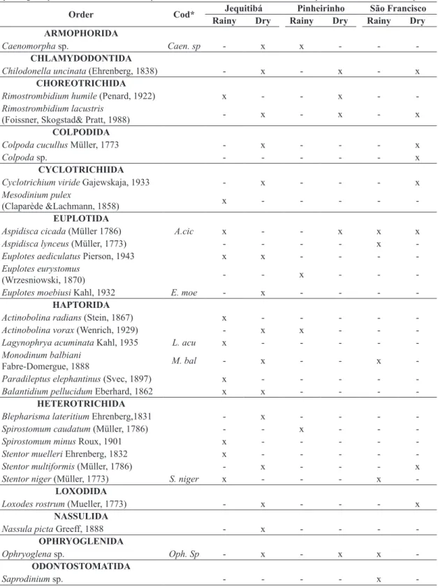 Table 1.   Inventory  of  ciliated  protozoa  in  three  urbanized  streams  (Jequitibá,  Pinheirinho  and  San  Francisco)  in  each  hydrological period where “x” indicates presence and “-” indicates absence of that species in that stream and period