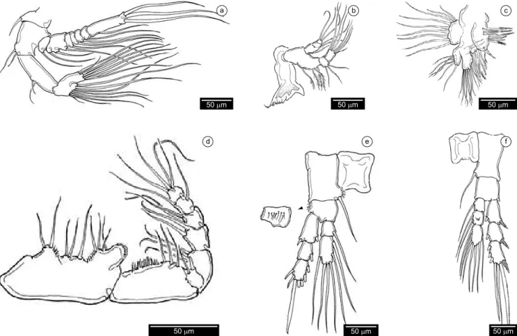 Figure 2. Leptodiaptomus dodsoni. Adult female from Aguascalientes, central Mexico. a) antenna; b) mandible with palp; c) maxillule; d) maxilliped