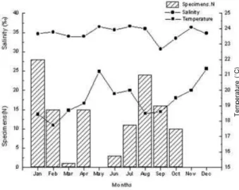 Figure 6. Numbers of individuals of Psammobatis extenta captured, mean salinity (psu), and mean temperatures of the bottom water (8C), recorded monthly in the Ubatuba region, Sa‹o Paulo, Brazil, from January to December 2000.