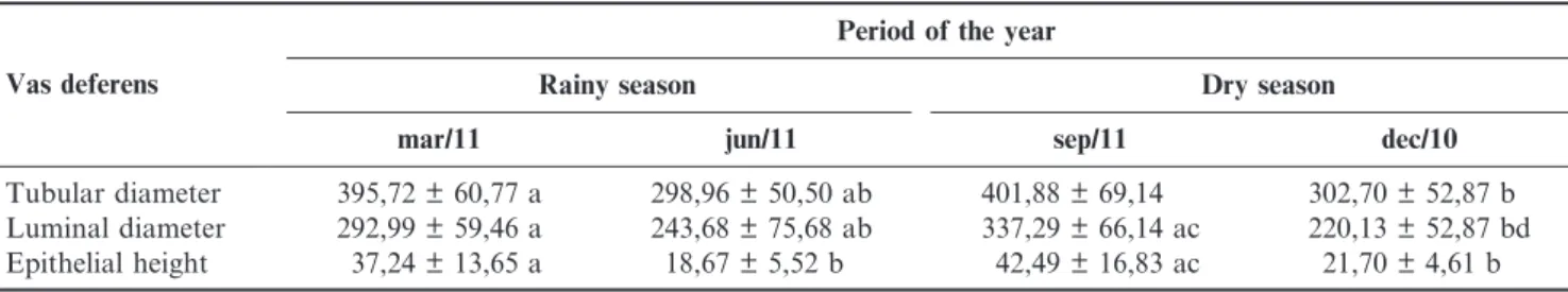 Table 1. Mean and standard deviation of morphometry (mm) of tubular and luminal diameters and height of the vas deferens of turtle (Kinosternon scorpioides), captured in Sa˜o Bento - MA, according with the season