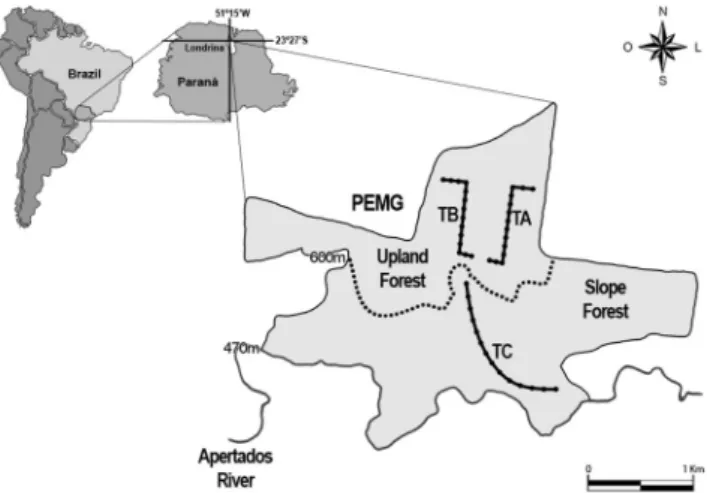 Figure 1. Location of sampling points in each of the three trails sampled in Parque Esta dual Mata dos Godoy, Londrina, Brazil