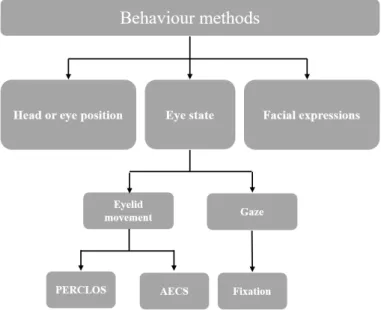 Figure 2.3: Scheme of behavioral measures