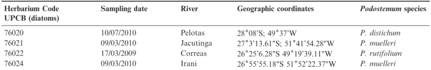 Table 1. Sampling data, with reference to local and date, host collected and register on herbarium of Federal University of Parana´ (UPCB).