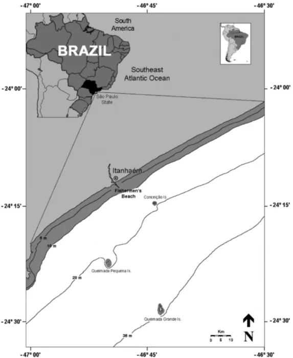 Figure 1. Map of study area, indicating the landing point of the small-scale fishery fleet in Itanhae´m, southeastern Brazil.