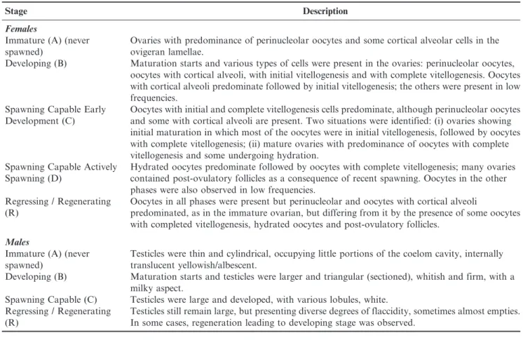 Table 1. Zenopsis conchifer: gonadal maturation stages for females (histological analysis) and males (macroscopic analysis).