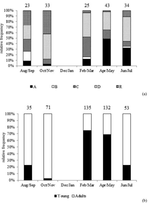 Table 2. Zenopsis conchifer: Kolmogorov-Smirnov test results for the frequency distribution of fish by period (asterisks indicates significant differences).
