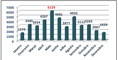 Gráfico 10: Número total mensal de visitantes no ano 2013, adaptado do relatório de  atividades de 2012