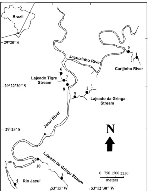 Table 2. Diversity ;larvae and adults of Elmidae found at the ten sampling sites, in the middle course of the Jacuı´ River basin, Rio Grande do Sul, Brazil ( l = larvae; a = adults).