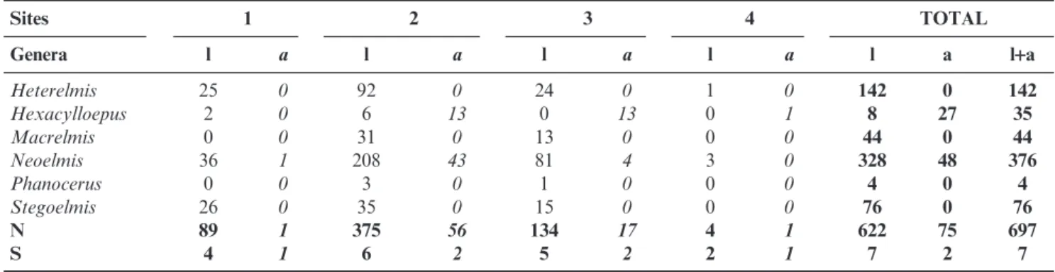 Table 3. Abundance (N) and richness (S) of Elmidae assemblages found in the middle course of the Jacuı´ River, Rio Grande do Sul, Brazil ( l = larvae, a = adults; l+a = sum of larvae and adults).