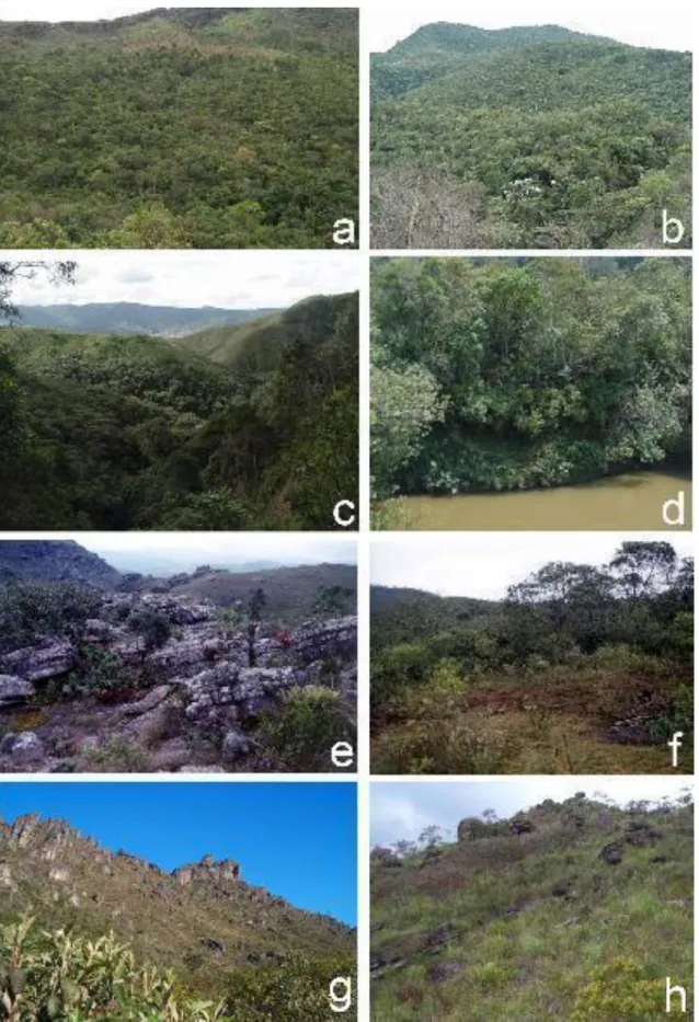 Figure 2. Semideciduous forest and campos rupestres of the Itacolomi State Park. a-d. semideciduous  forest; e-h