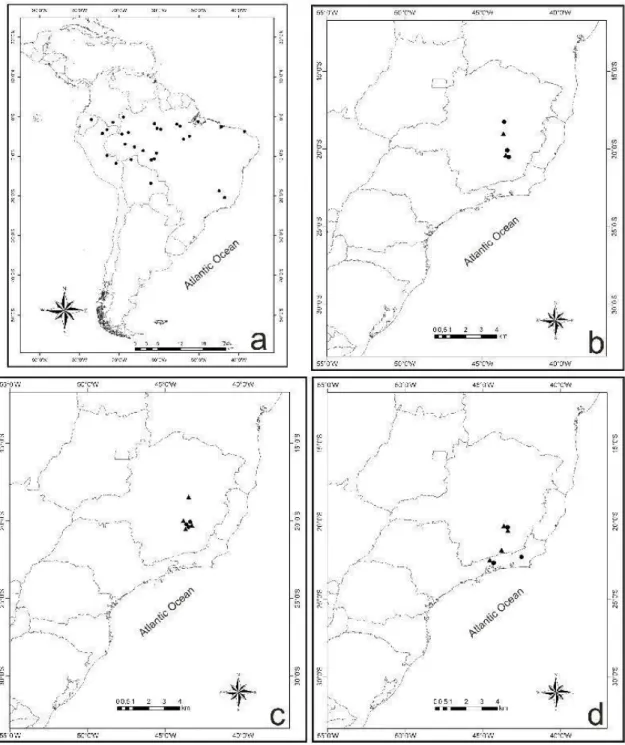 Figure 3. Distribution patterns a. Neotropical Andira surinamensis (Source: Pennington 2003, Mattos 1979); b