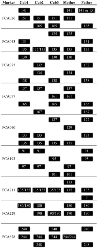 Figure 1. Genotypes of the mother and cubs for each microsatellite locus and father’s inferred genotype.