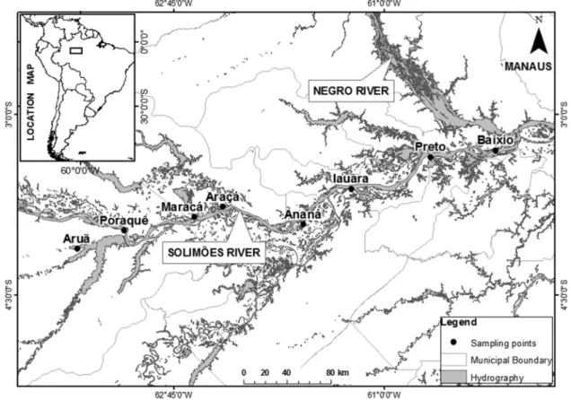 Figure 1. Study area showing the sampled lakes and the stretch of the Rio Solimo˜es.