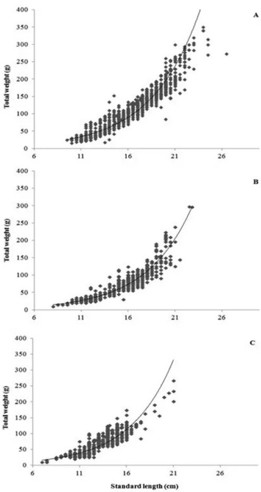 Figure 2. Weight-length relationships estimated for (A) Potamorhina altamazonica, (B) Potamorhina latior and (C) Psectrogaster rutiloides amostrados no rio Solimo˜es.