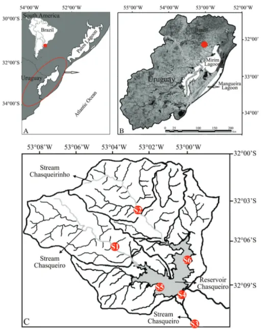 Figure 1. Study area, showing south America with the countries Brazil and Uruguay, delimitation of Mirim Lagoon system (circle red) (A), localization of hydrographic basin Chasqueiro Stream (dot red) (B) and samples sites, 1 and 2 (upstream), 3 and 4 (down