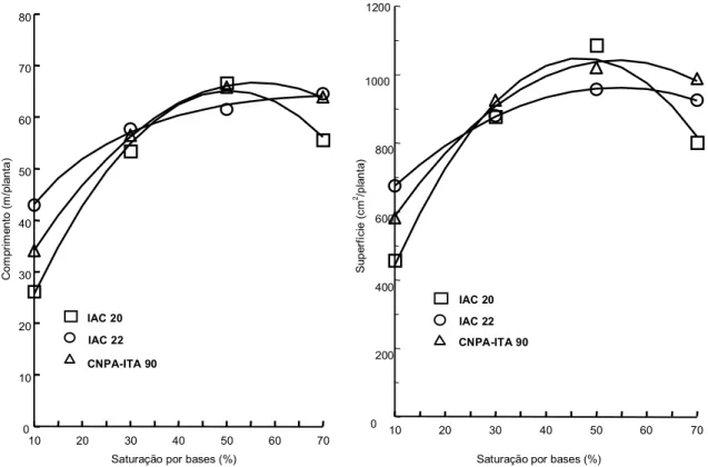 FIG. 2. Comprimento  e  superfície  de  raízes  de  algodoeiro  em  razão  da  cultivar  e  da saturação  do  solo  por  bases