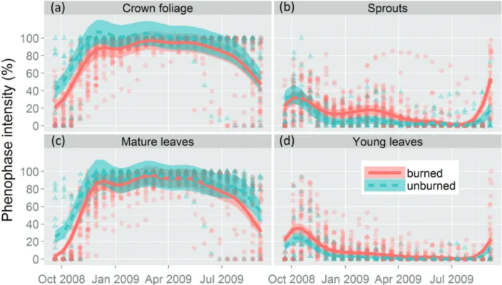 Figure 2. Phenological behavior predicted by the best model (M3, see material and methods) for the four vegetative phenophases of the woody species monitored in burned and unburned plots of Cerrado savanna in Nova Xavantina, Mato Grosso, Brazil