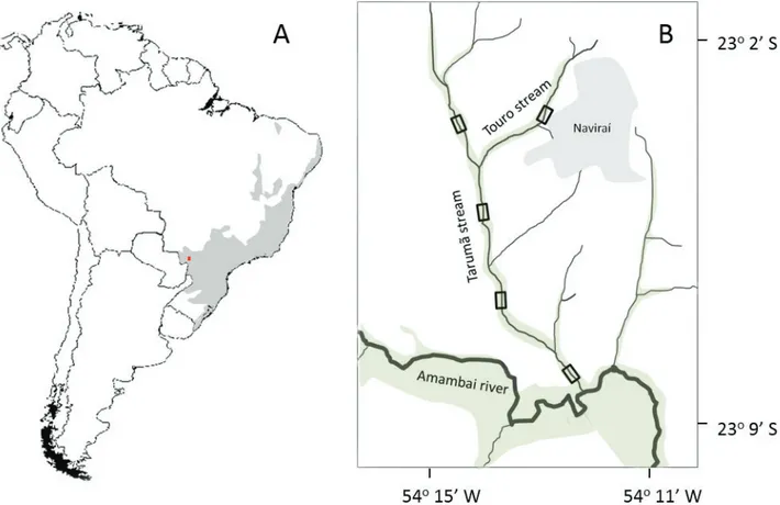 Figure 1. (A) Atlantic Forest domain (gray) and the study site (red dot). (B) Location of plant surveys (rectangles) in the Touro and Taruma˜