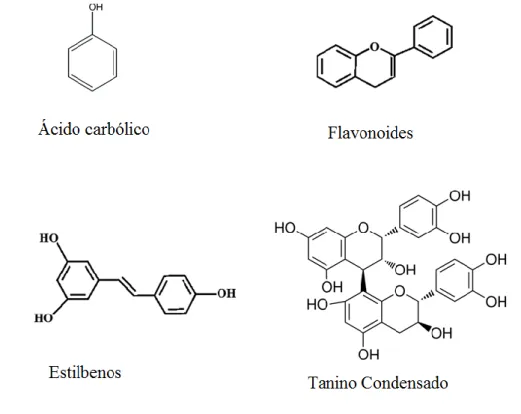 Figura  3-  Imagem  representativa  da  estrutura  principal  dos  compostos  fenólicos  (ácido carbólico), flavonóides, estilbenos e taninos