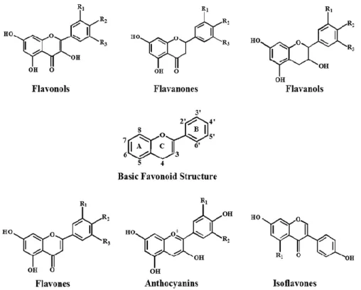 Figura 4- Estruturas químicas das 6 subclasses dos flavonóides. Imagem adaptada de  Pandey  &amp;  Rizvi,  2009