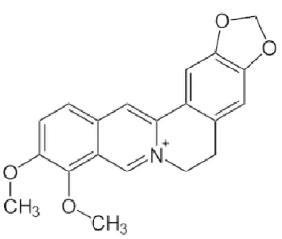 Figura 7- Estrutura química da morfina.