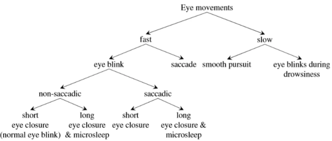 Figure 2.3: Different categories of eye movements based on their velocity (from [34])