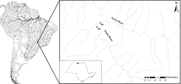 Figure 1. Location of the two reaches (R1 and R2) in the lower Preto River in the Northwest of São Paulo State, Brazil