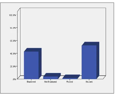 Figure 4 Occupation Status 