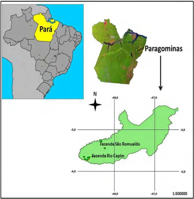 Figura 1. Localização das Fazendas Rio Capim e São Romualdo no município de   Paragominas/PA