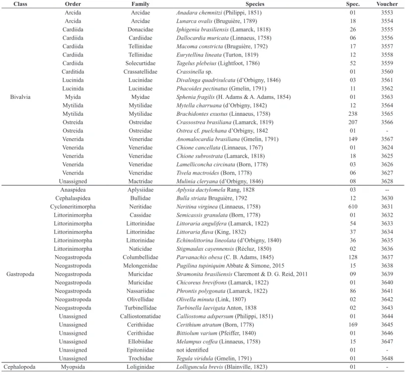 Table 1. Checklist of Mollusca from estuary of Paraíba River on surrounding Treze de Maio and Costinha de Santo Antônio properties