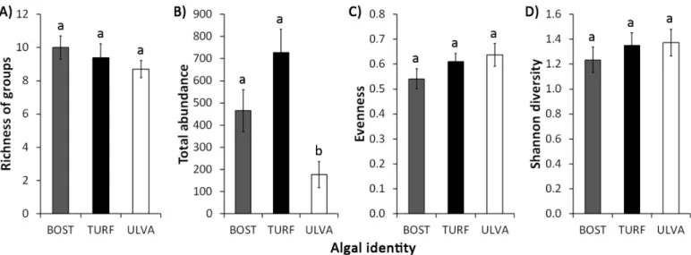 Figure 1. Mean (±SE) A) richness of groups, B) total abundance, C) evenness and D) Shannon diversity of faunal community associated to Bostrychietum (BOST), algal  turf (TURF) and Ulva lactuca (ULVA) in the intertidal fringe of Araçá Bay