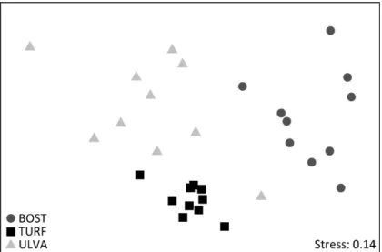 Figure 2. nMDS plot of abundance of all taxonomic groups of faunal communities associated to Bostrychietum (BOST – dark gray circles), algal turf (TURF – black  squares) and Ulva lactuca (ULVA – light gray triangles) in the intertidal fringe of Araçá Bay.