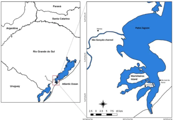 Figure 1. Location of Marinheiros Island, and the sites of collection of the ichthyofauna, Patos Lagoon estuary, southern Brazil.