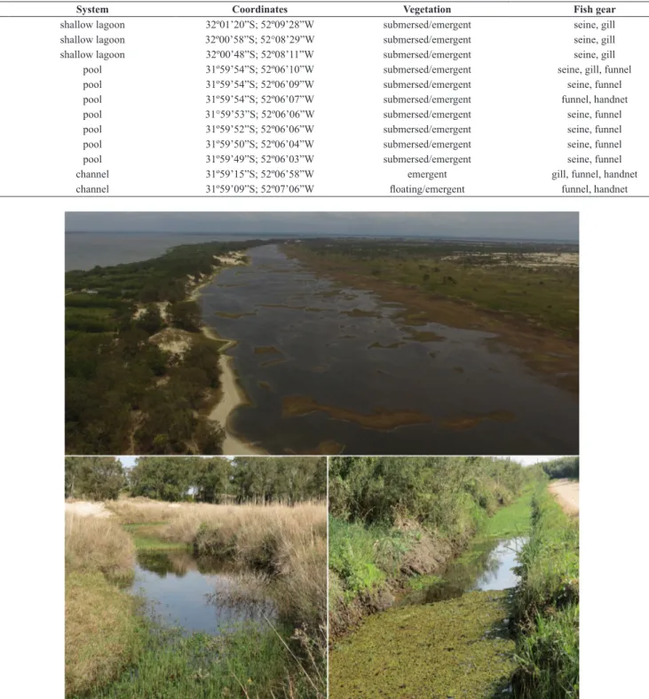 Table 1. Characteristics and locations of the sites sampled in Marinheiros Island, Patos Lagoon estuary, southern Brazil, and fishing gear applied in each site.