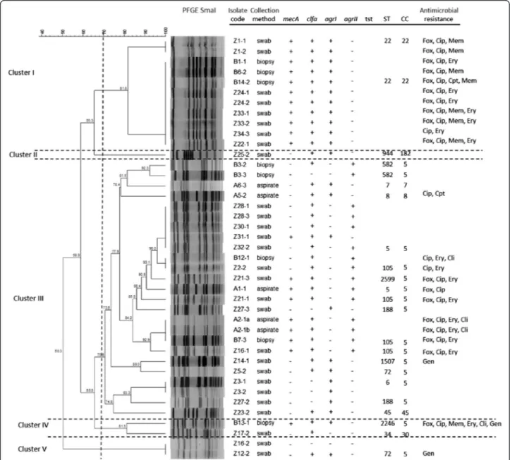 Fig 1 Dendrogram based on SmaI-PFGE patterns of the S. aureus diabetic foot isolates. The image also displays information regarding sample collection method, presence of virulence genes, ST/CC allocation and antimicrobial resistance profile
