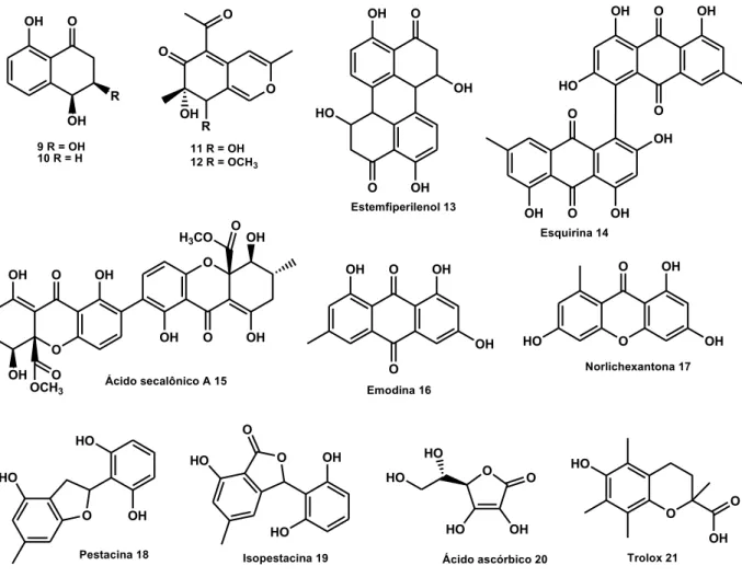 Figura 2: Metabólitos secundários com potencialidade biológica produzidos por fungos  endofíticos