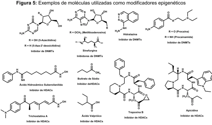 Figura 5: Exemplos de moléculas utilizadas como modificadores epigenéticos 