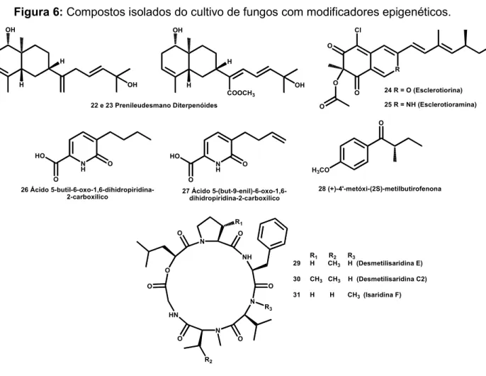 Figura 6: Compostos isolados do cultivo de fungos com modificadores epigenéticos. 