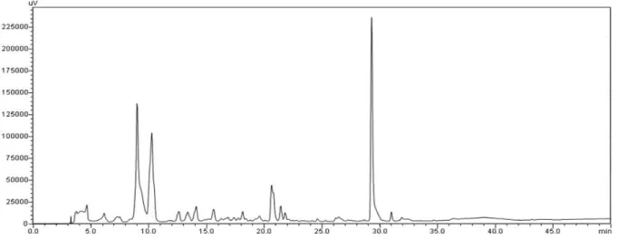 Figura 9 - Cromatograma representando o perfil do extrato bruto AcOEt dos metabólitos  produzidos em escala reduzida pelo fungo H