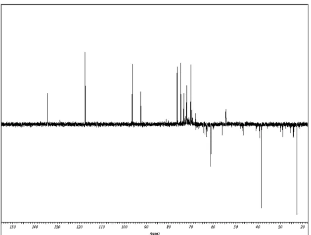Figura 22- Espectro de RMN de  13 C (DEPT) 125 MHz em D 2 O do composto presente na fração 1A do veneno da  vespa social Polybia paulista.